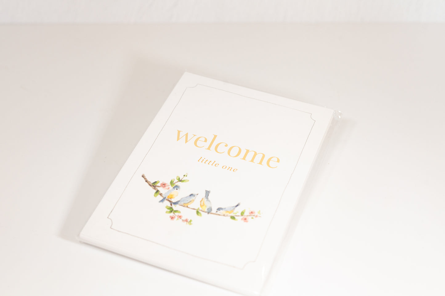 Emily Lex Welcome Baby Milestone Cards