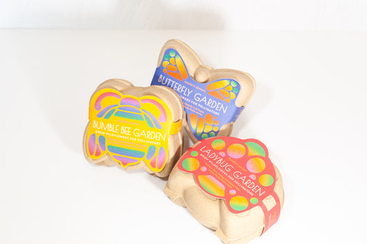 Modern Sprout Curious Critters Activity Kit
