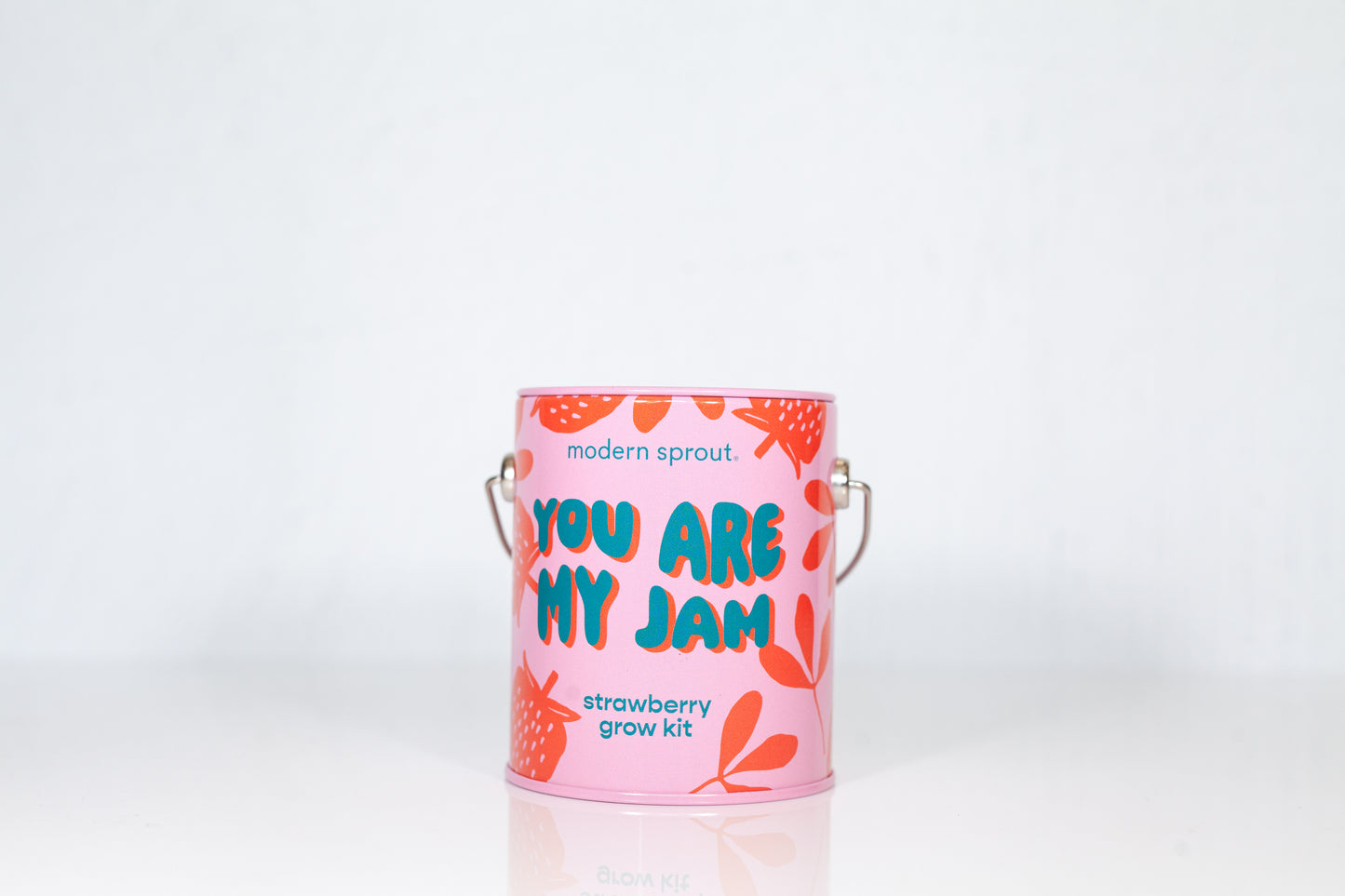 Modern Sprout Strawberry Grow Kit
