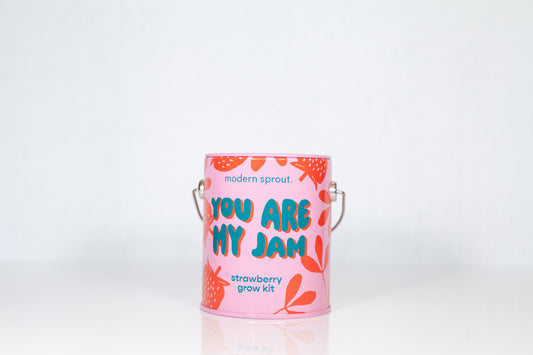 Modern Sprout Strawberry Grow Kit