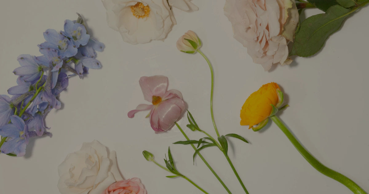 Verbena Floral Design