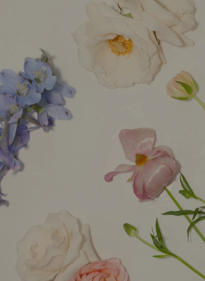 Verbena Floral Design