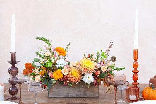 Thanksgiving Long and Low